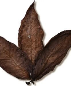 Brazilian Cured Foiano Tobacco 50lbs