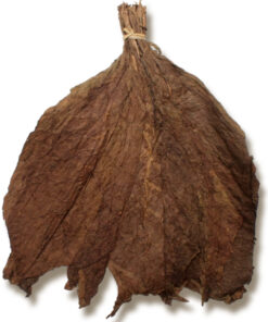Cameroon Africa Binder Tobacco Leaves