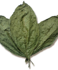 Candela Wrapper Tobacco Leaf