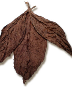 Ecuadorian Cuban Seed Seco Wrapper