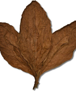 Ecuadorian Habano HS Wrapper