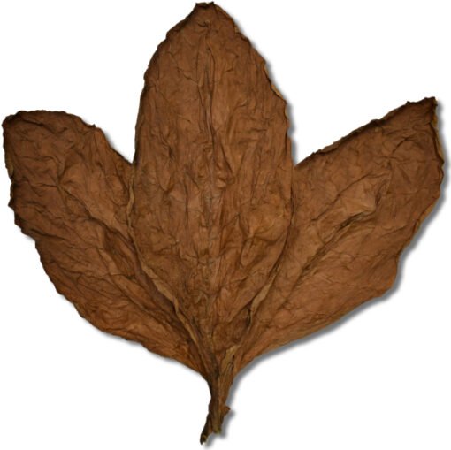 Ecuadorian Habano HS Wrapper Tobacco for Sale | Cigar Wrapper