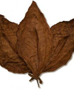 Ecuadorian Habano LS Wrapper