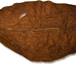 French Dark Air Cured Wrapper 1