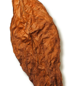 Glasgow Magistrate Wrapper