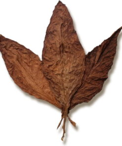 Glasgow Magistrate Wrapper