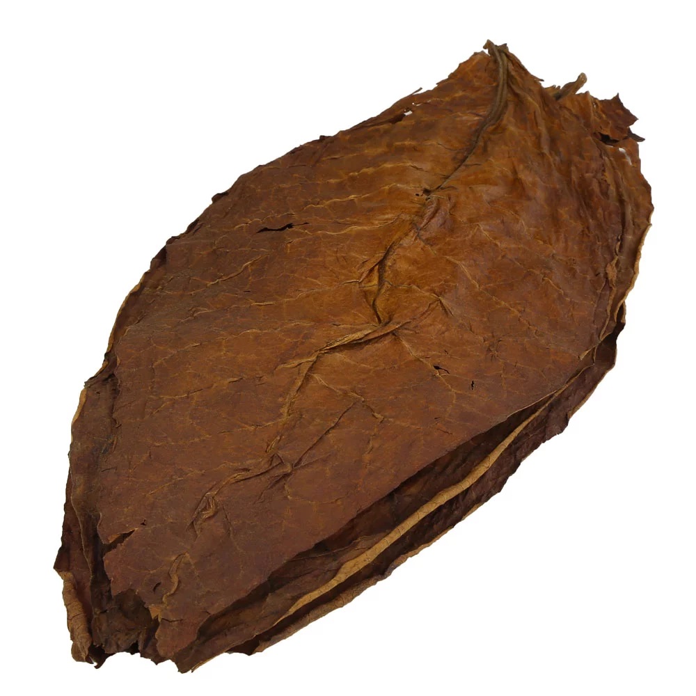 Kentucky Fire Cured Tobacco Leaves 1