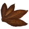 Kentucky Fire Cured Tobacco Leaves
