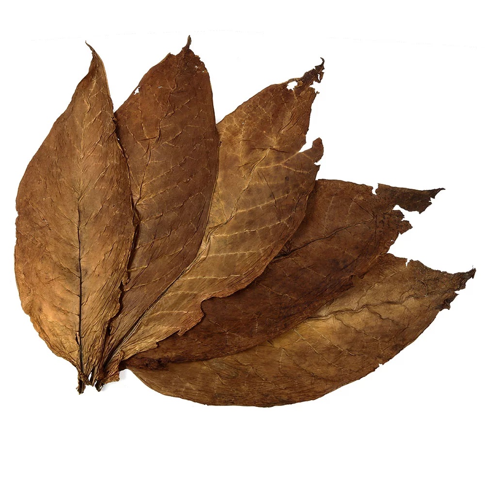 Kentucky Fire Cured Tobacco Leaves 2