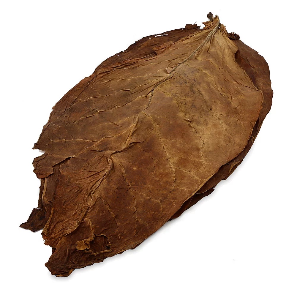 Kentucky Fire Cured Tobacco Leaves 3