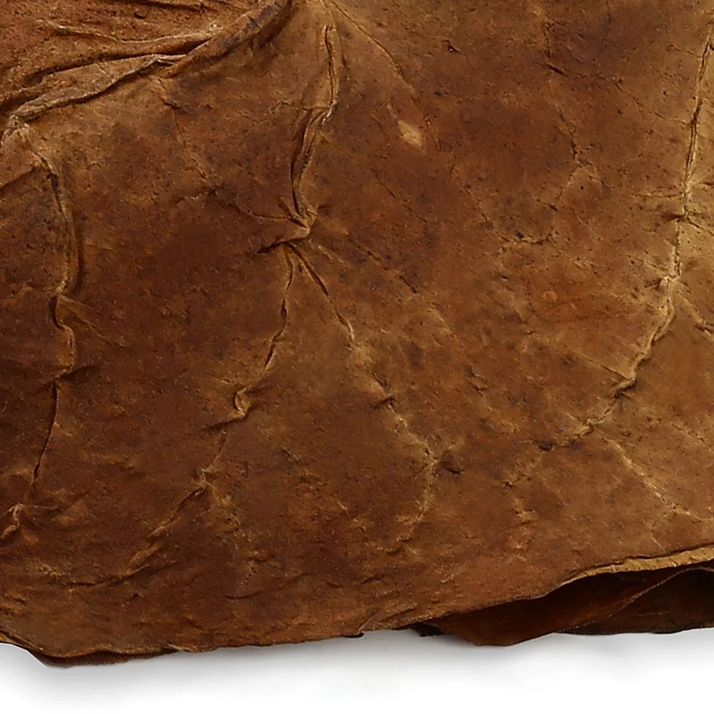 Kentucky Fire Cured Tobacco Leaves 4