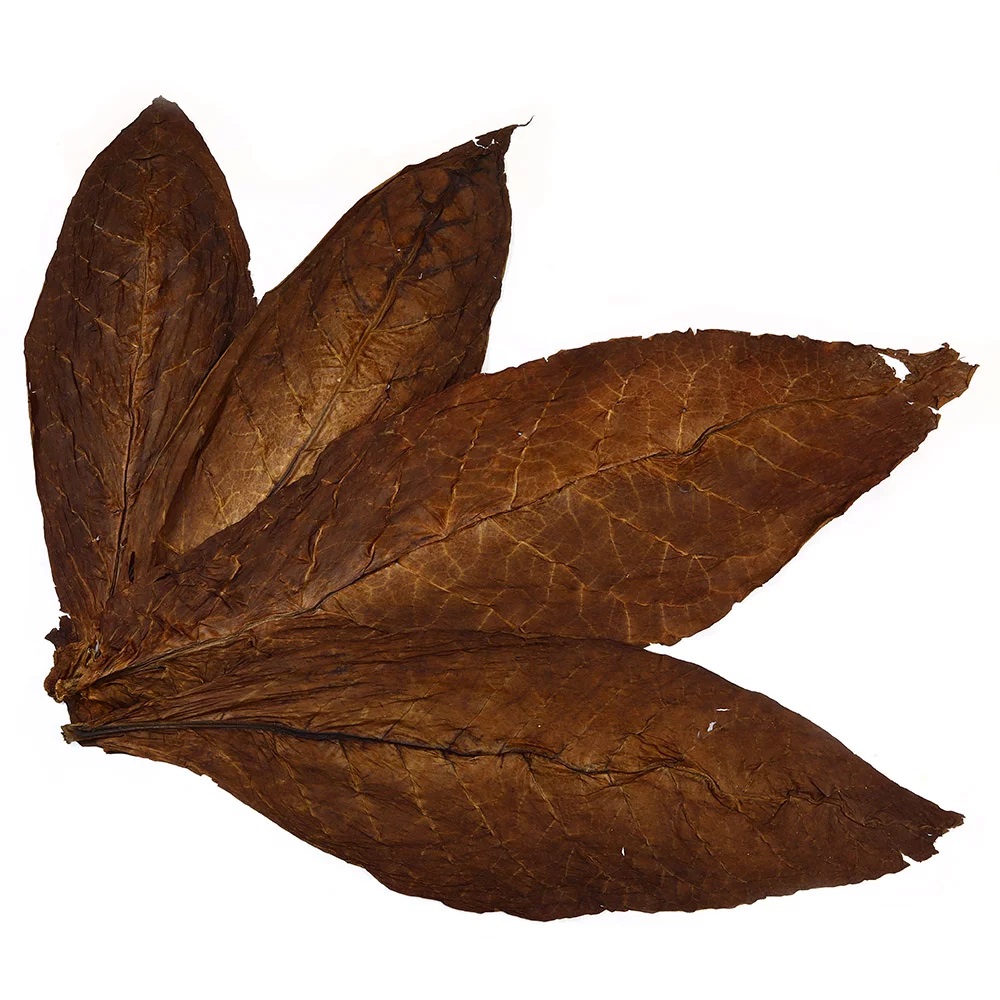 Kentucky Fire Cured Tobacco Leaves Kentucky Fire Cured Tobacco Leaves