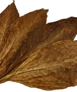 Kentucky Sun Cured Tobacco Leaves