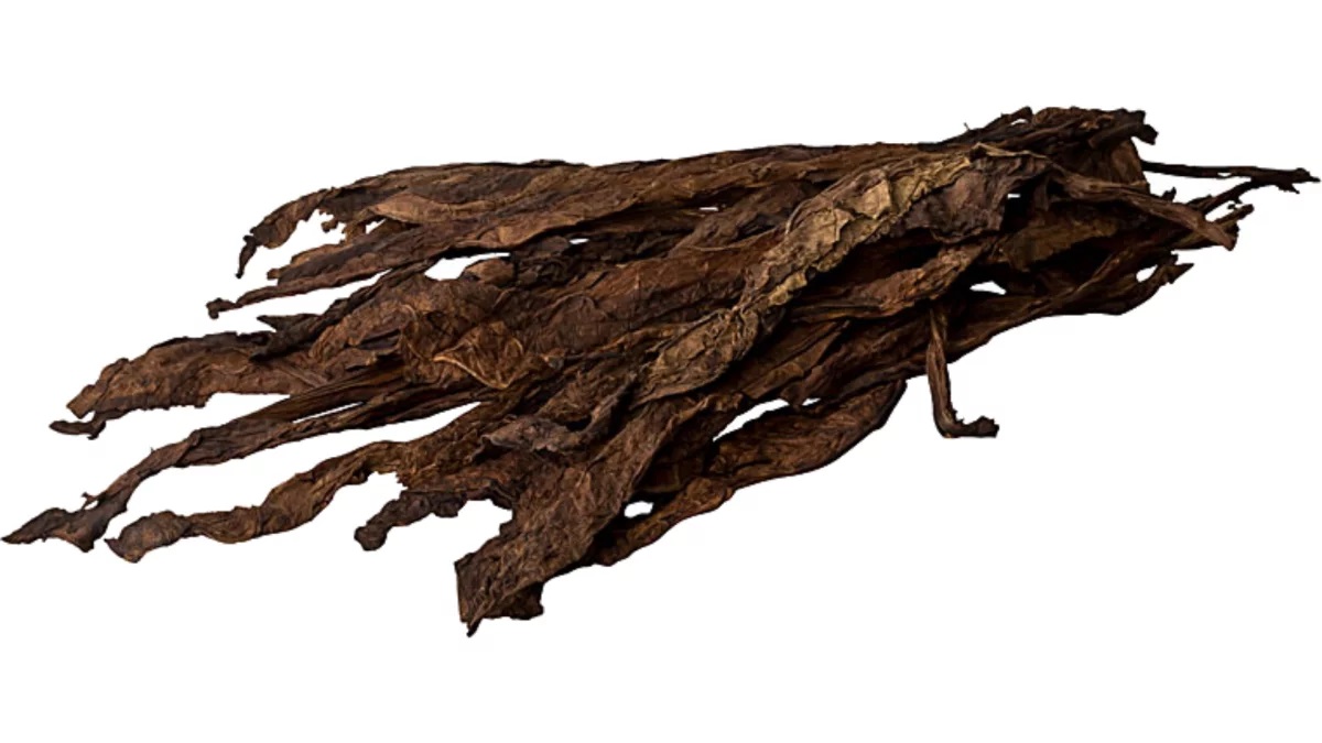 Kentucky Very Smoked Tobacco Leaves 2