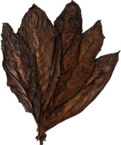 Kentucky Very Smoked Tobacco Leaves