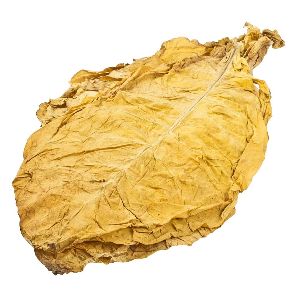 Buy Virginia Flue Cured Tobacco Leaves