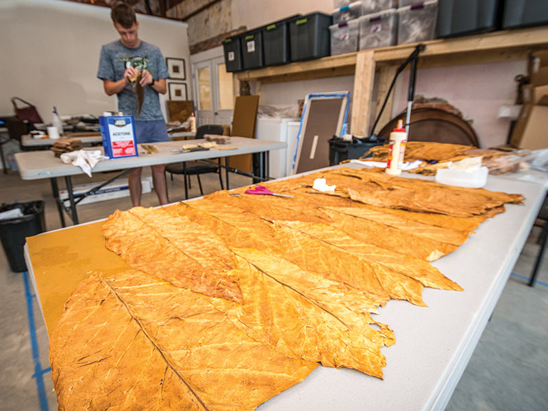 Tobacco Leaf Wholesale Suppliers