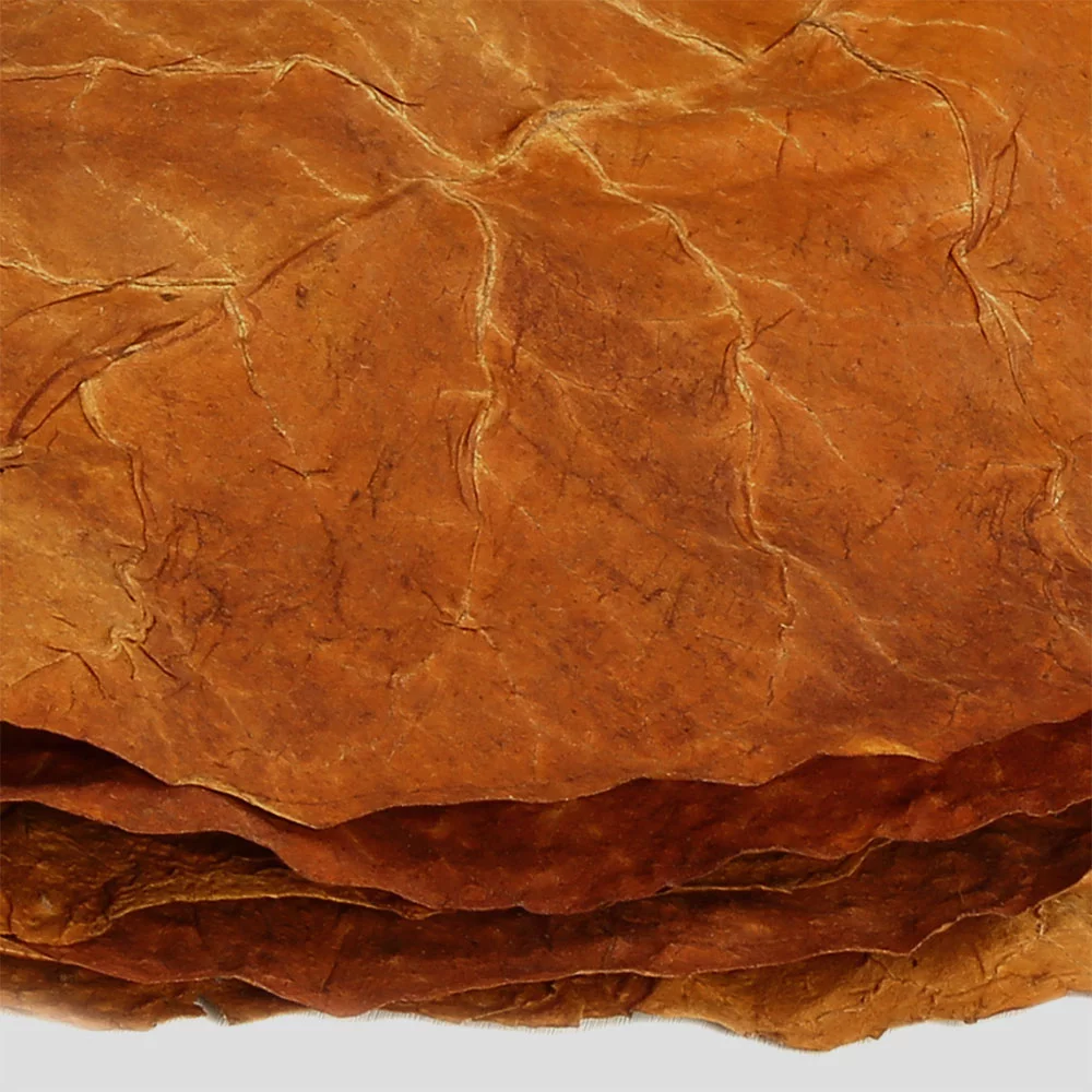 Burley tobacco leaves