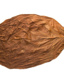 Connecticut Broadleaf Tobacco for Sale