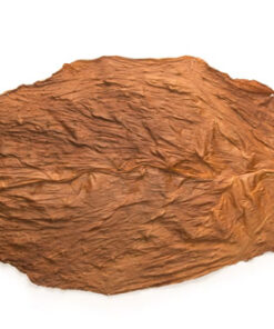 Connecticut Broadleaf Tobacco for Sale