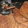 Dominican Tobacco Leaves for Sale