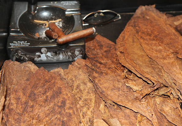 Dominican Tobacco Leaves for Sale Dominican Tobacco Leaves for Sale