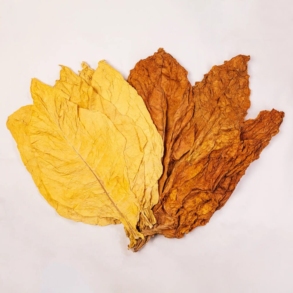 order premium tobacco leaves