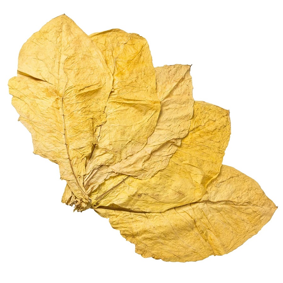 Tobacco Leaf Suppliers