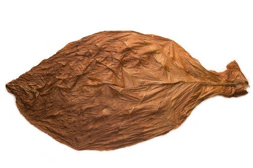 Bulk Tobacco Leaves