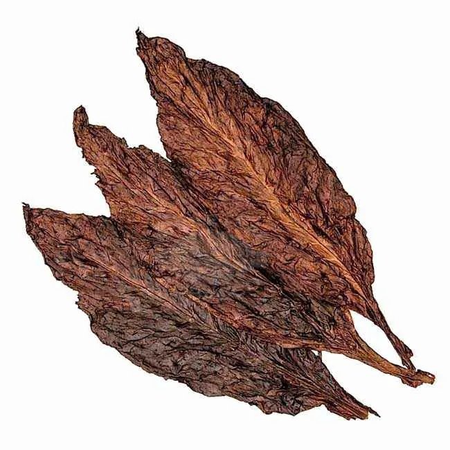black fronto leaves for sale