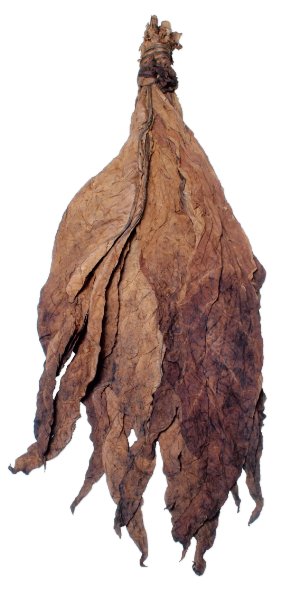 Order Dark Air Cured Tobacco